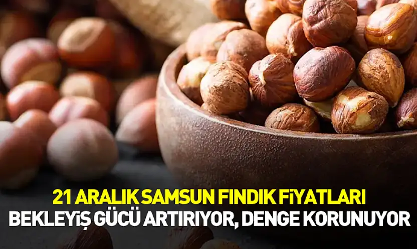 21 Aralık Samsun Fındık Fiyatları | Bekleyiş Gücü Artırıyor, Denge Korunuyor