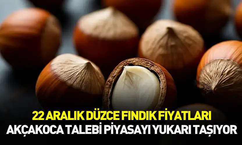 22 Aralık Düzce Fındık Fiyatları | Akçakoca Talebi Piyasayı Yukarı Taşıyor
