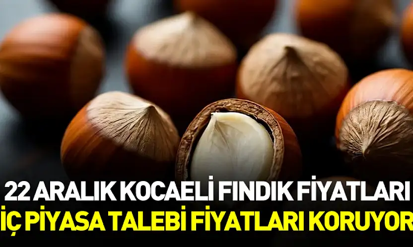 22 Aralık Kocaeli Fındık Fiyatları | İç Piyasa Talebi Fiyatları Koruyor