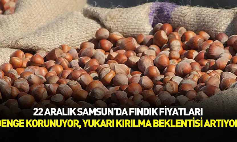 22 Aralık Samsun'da Fındık Fiyatları | Denge Korunuyor, Yukarı Kırılma Beklentisi Artıyor