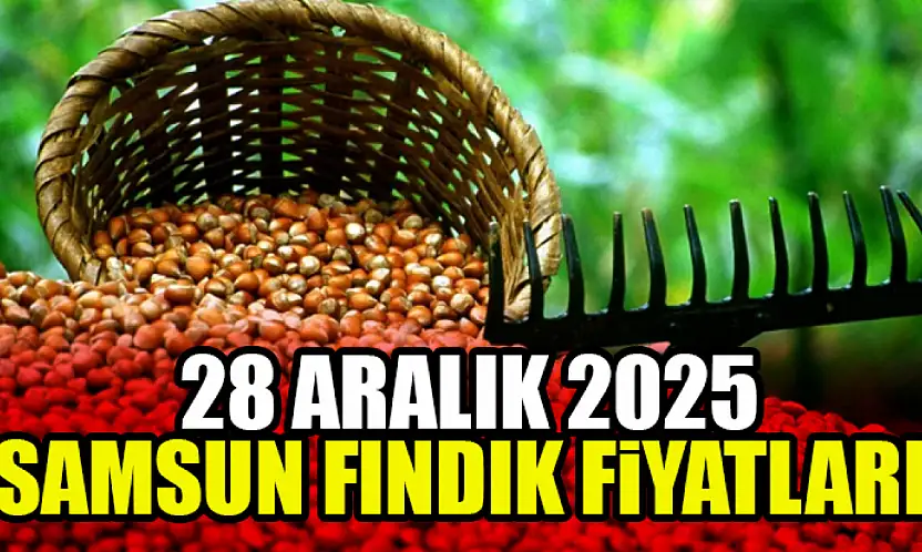 28 Aralık Samsun Fındık Fiyatları