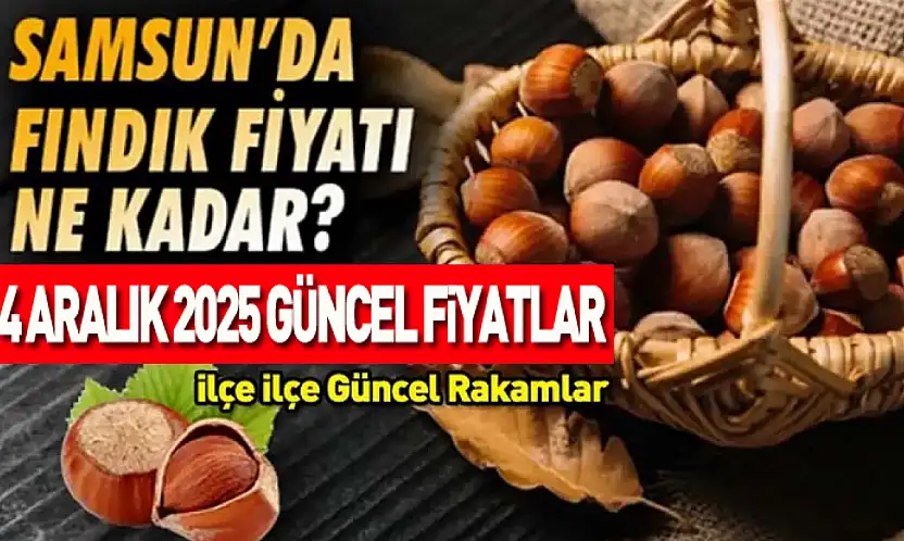 4 Aralık 2025 Samsun Fındık Fiyatları ne kadar? Piyasa Rekabeti Sertleşti