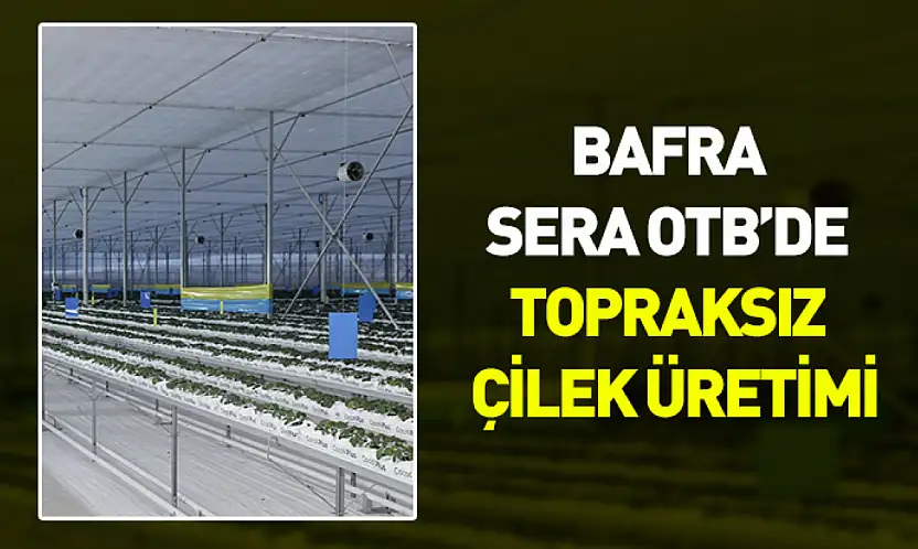 48 bin metrekarelik alanda 'iklimden bağımsız' üretim