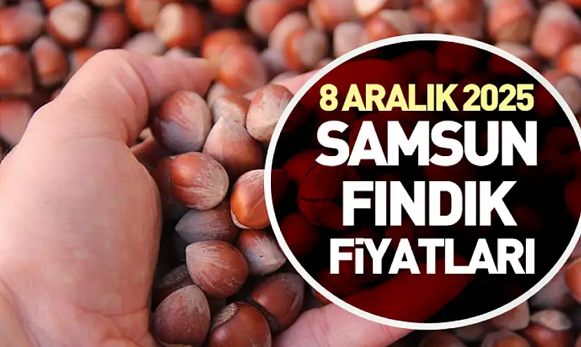 8 Aralık 2025 Samsun Fındık Fiyatları | Pazartesi Günü Piyasada Yön Arayışı Başladı