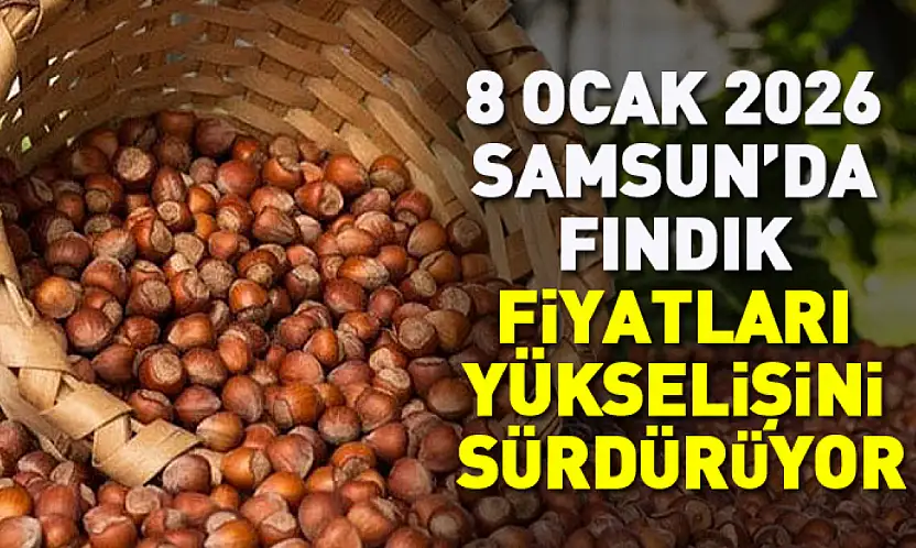 8 Ocak 2026 Samsun'da Fındık Fiyatları yükselişini sürdürüyor