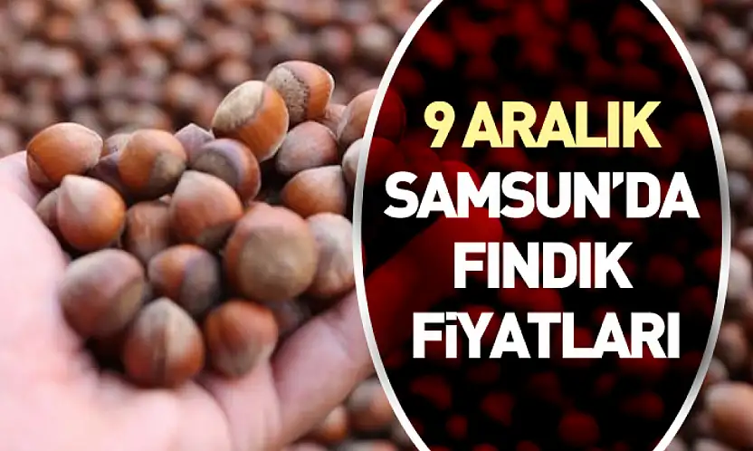 9 Aralık Samsun'da Fındık Fiyatları | Piyasa Salı Günü Yeniden Canlandı