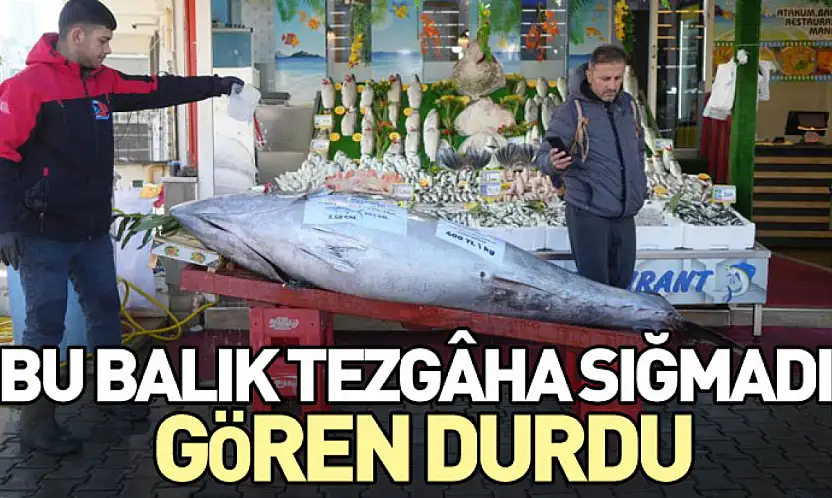 Bu Balık Tezgâha Sığmadı, Gören Durdu