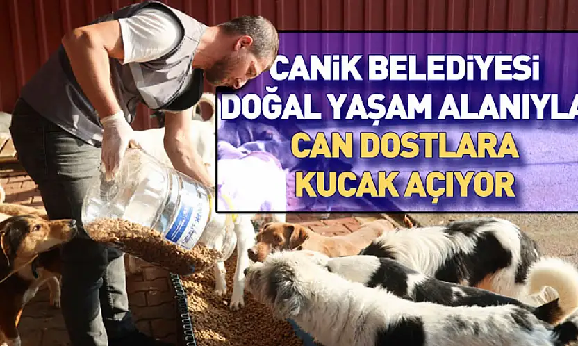 Canik Belediyesi doğal yaşam alanıyla can dostlara kucak açıyor