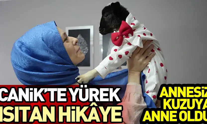 Canik'te Yürek Isıtan Hikâye