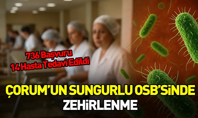 Çorum Valiliği'nden Sungurlu OSB'deki Zehirlenme Vakalarıyla İlgili Açıklama