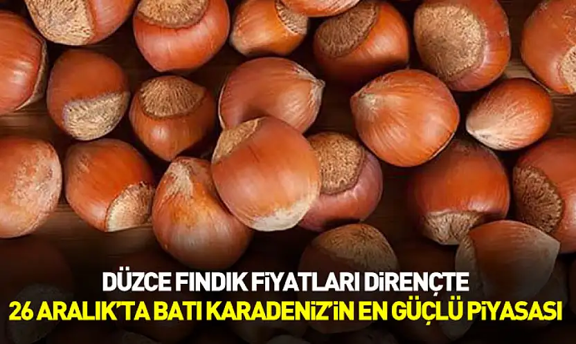 Düzce Fındık Fiyatları Dirençte | 26 Aralık'ta Batı Karadeniz'in En Güçlü Piyasası