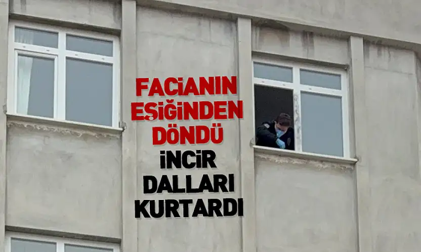 Facianın Eşiğinden Döndü, İncir Dalları Kurtardı