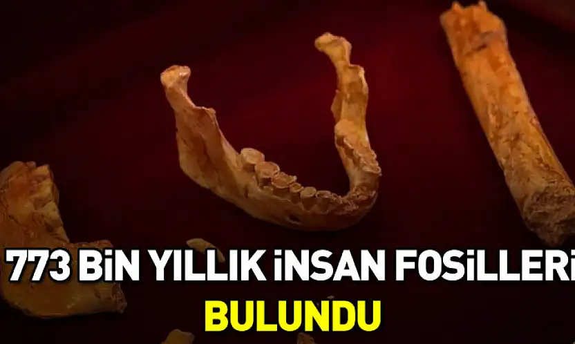 Fas'ta 773 bin yıllık insan fosilleri bulundu
