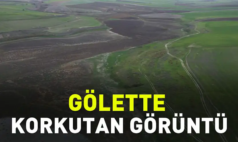 Gölette Korkutan Görüntü