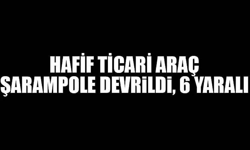 Hafif Ticari Araç Şarampole Devrildi, 6 Yaralı