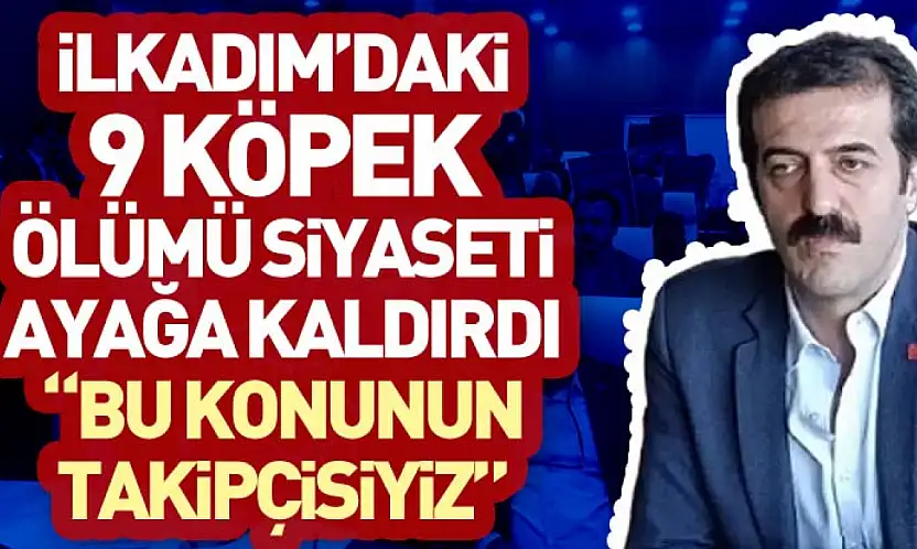 İlkadım'daki 9 Köpek Ölümü Siyaseti Ayağa Kaldırdı 'Bu konunun takipcisiyiz'