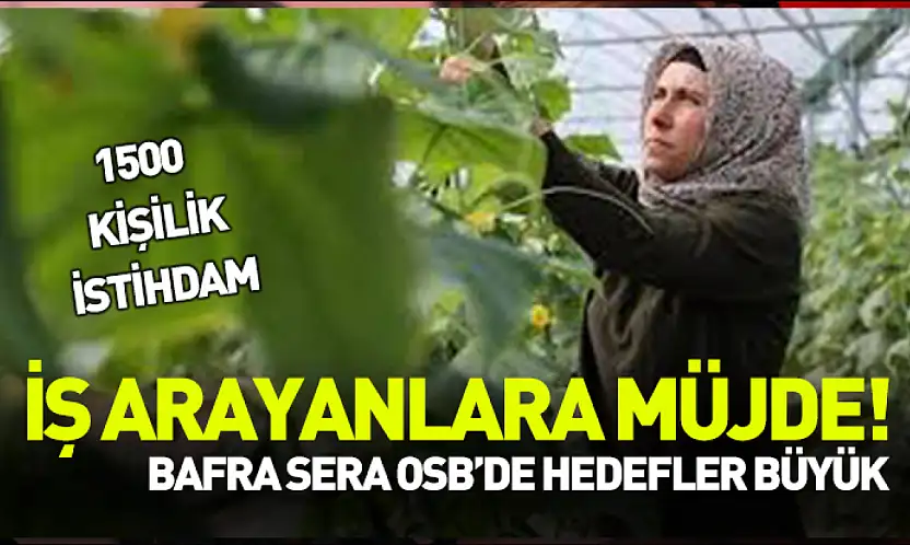 İş arayanlara müjde! Bafra Sera OSB'de hedefler büyük
