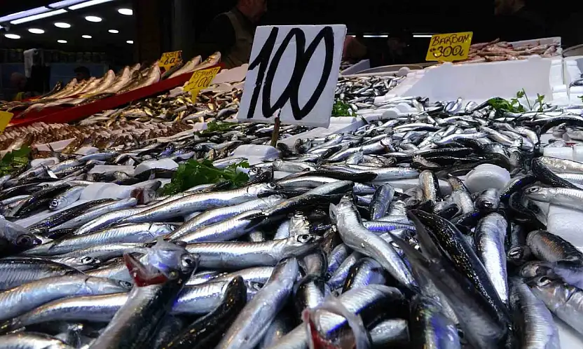 Karadeniz'de hamsi bereketi yaşanıyor