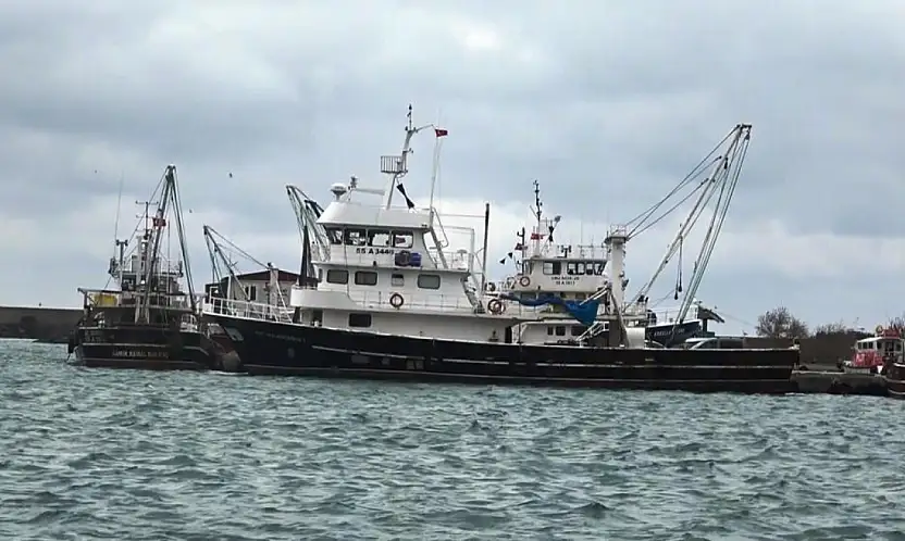 Karadeniz'de Lüfer Tezgâha İnmiyor
