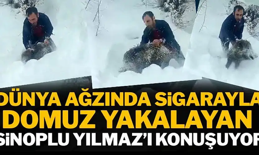 Karlı yolda yaban domuzunu elleriyle yakaladı
