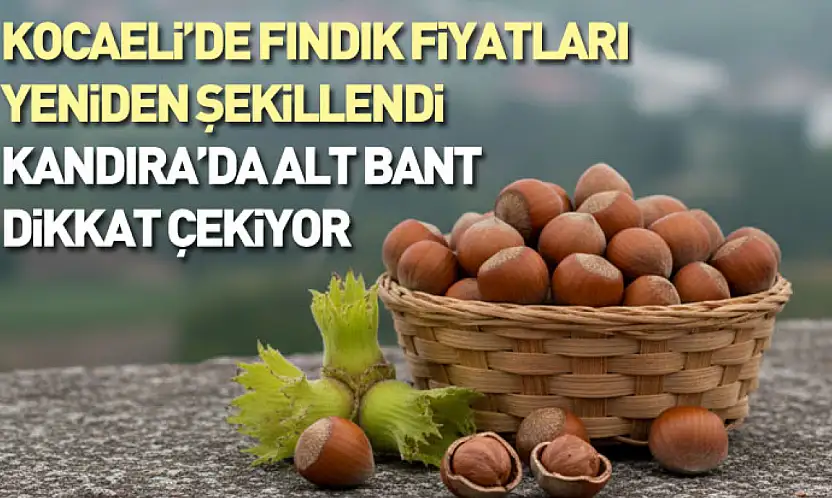 Kocaeli'de Fındık Fiyatları Yeniden Şekillendi: Kandıra'da Alt Bant Dikkat Çekiyor