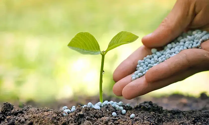 Mecliste sahte gübre iddiası
