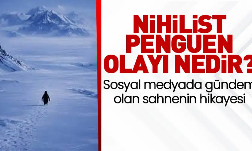 'Nihilist Penguen' Olayı Nedir? Sosyal Medyada Gündem Olan Sahnenin Hikayesi