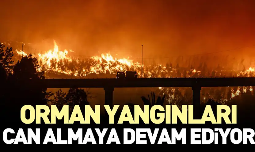 Orman Yangınları Can Almaya Devam Ediyor