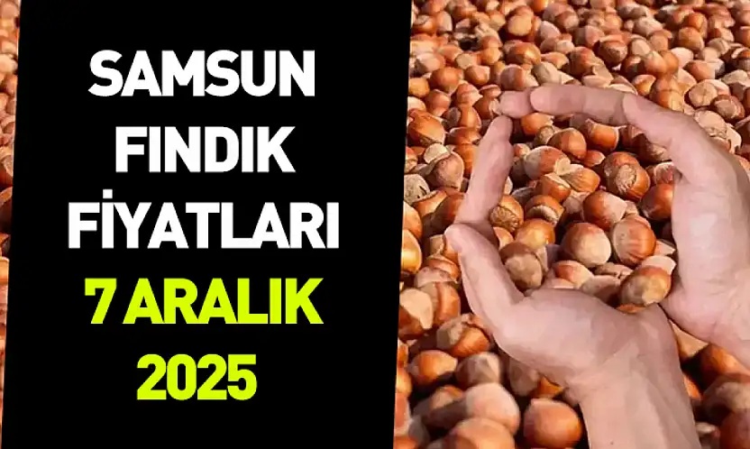 Samsun 7 Aralık 2025 Fındık Fiyatları | Piyasada Denge Arayışı Güçleniyor