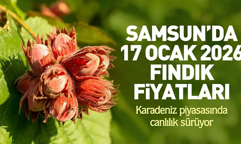 Samsun'da 17 Ocak 2026 Fındık Fiyatları: Karadeniz piyasasında canlılık sürüyor