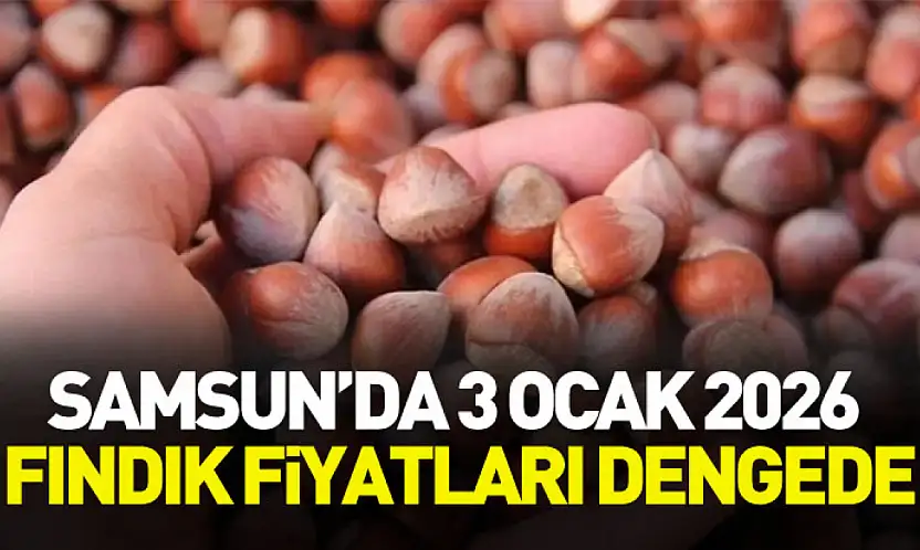 Samsun'da 3 Ocak 2026 Fındık Fiyatları Dengede