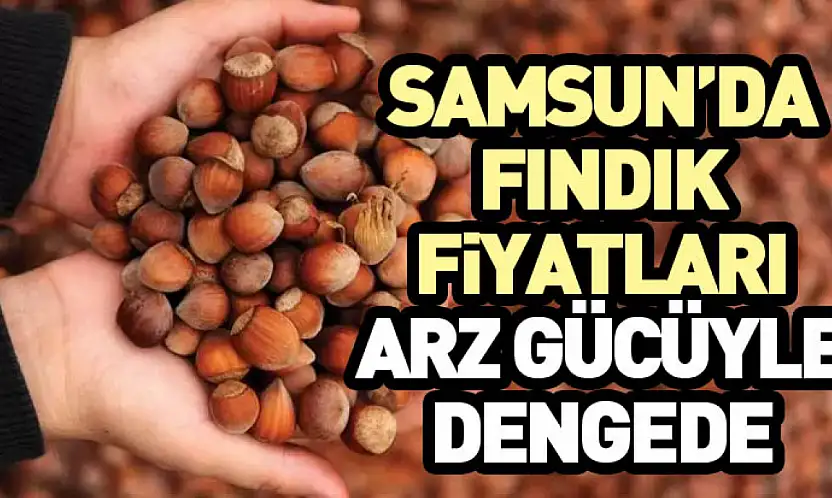 Samsun'da Fındık Fiyatları Arz Gücüyle Dengede