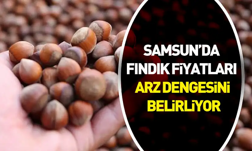 Samsun'da Fındık Fiyatları Arz Dengesini Belirliyor