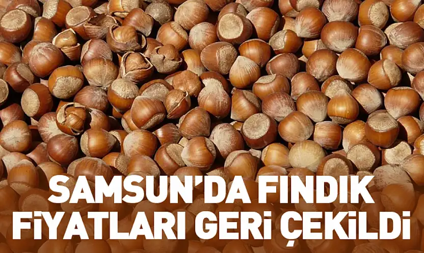Samsun'da Fındık Fiyatları Geri Çekildi: Satışlar Yavaşladı