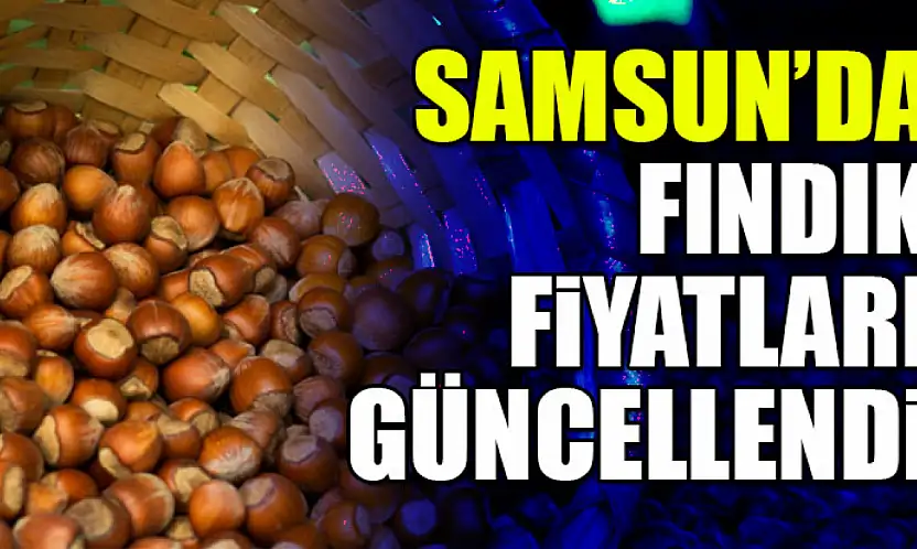 Samsun'da Fındık Fiyatları Güncellendi