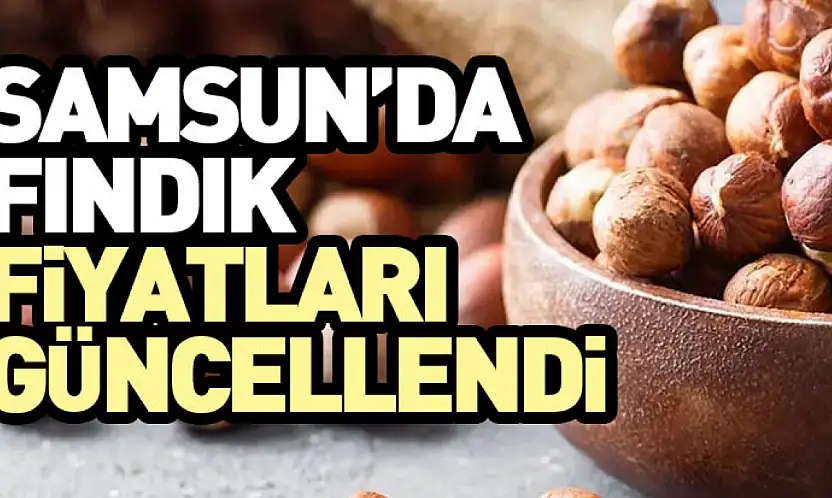 Samsun'da Fındık Fiyatları Güncellendi