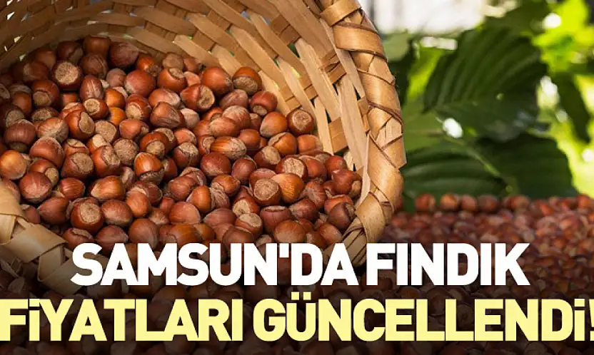 Samsun'da Fındık Fiyatları Güncellendi!