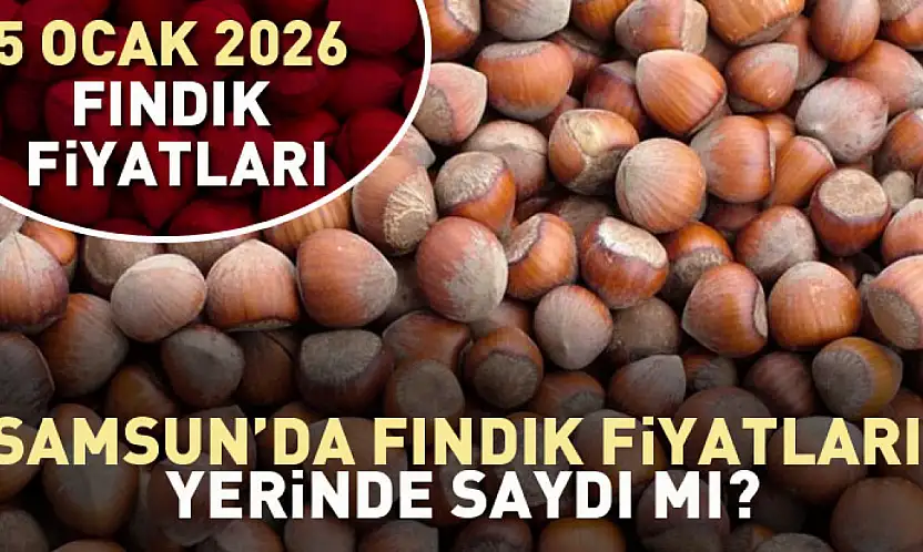 Samsun'da Fındık Fiyatları Yerinde Saydı mı? İşte Güncel Tablo