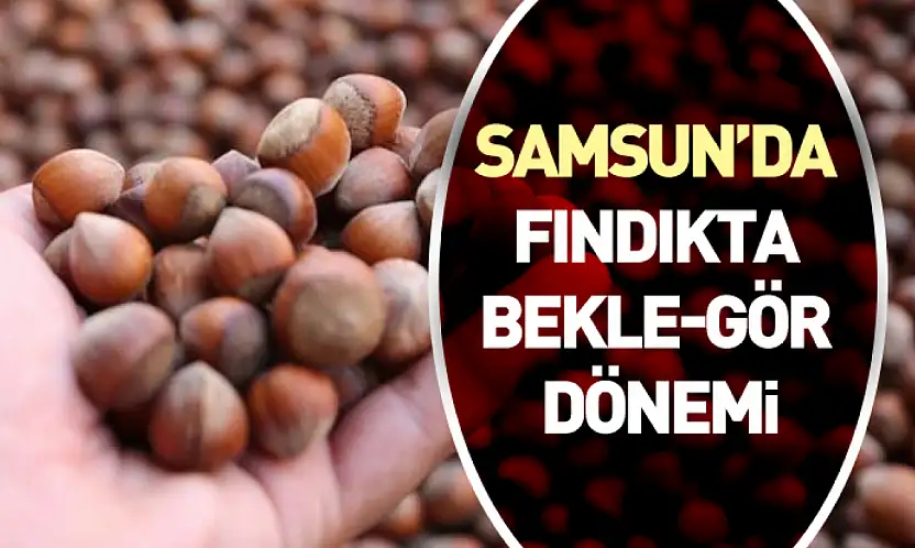 Samsun'da Fındıkta Bekle-Gör Dönemi: Üretici Satışa Mesafeli
