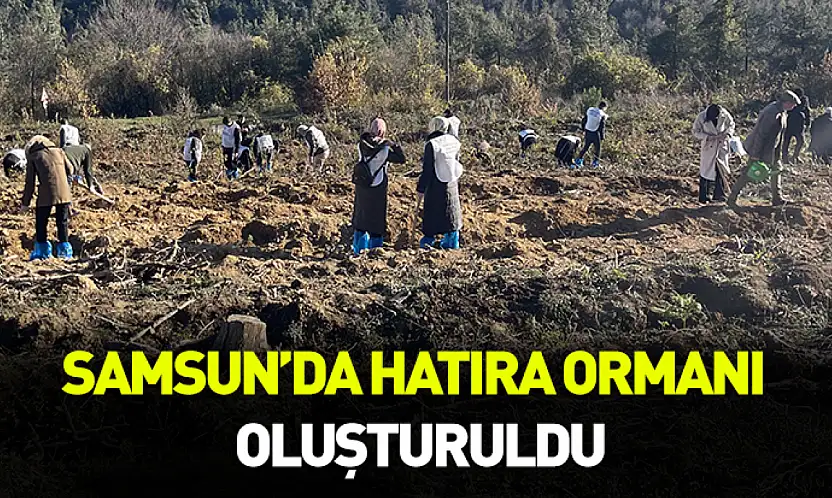 Samsun'da hatıra ormanı oluşturuldu