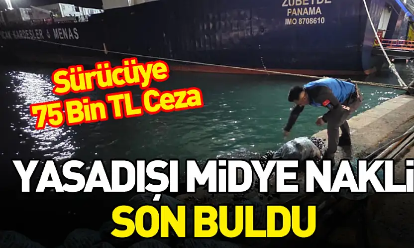 Samsun'da Kamyonette Kaçak Midye Operasyonu: 300 Kilo Ele Geçirildi