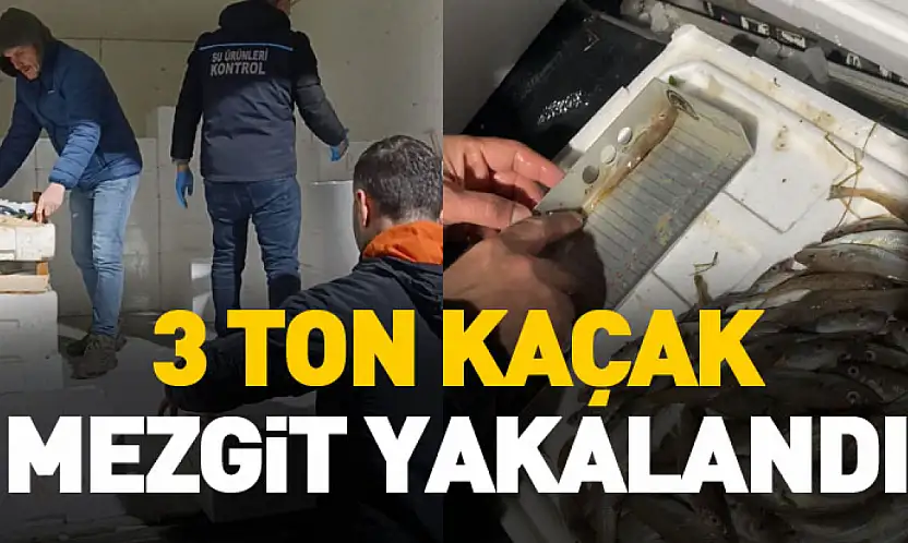 Samsun'da yasal boy sınırının altında 3 ton mezgit ele geçirildi