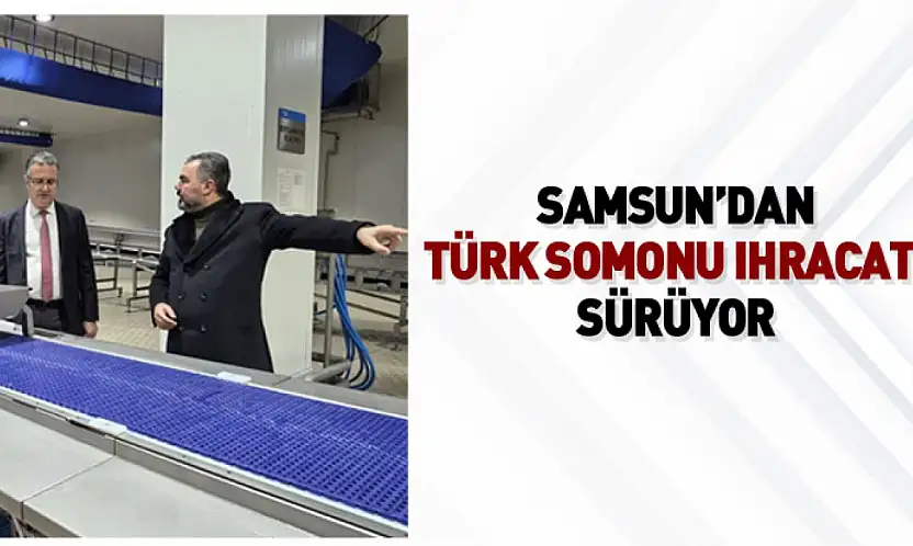 Samsun'dan Türk somonu ihracatı sürüyor