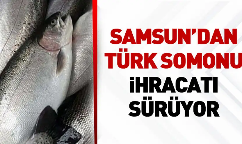 Samsun'dan Türk somonu ihracatı sürüyor