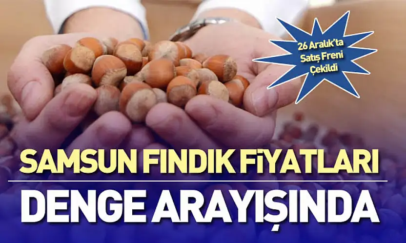 Samsun Fındık Fiyatları Denge Arayışında | 26 Aralık'ta Satış Freni Çekildi