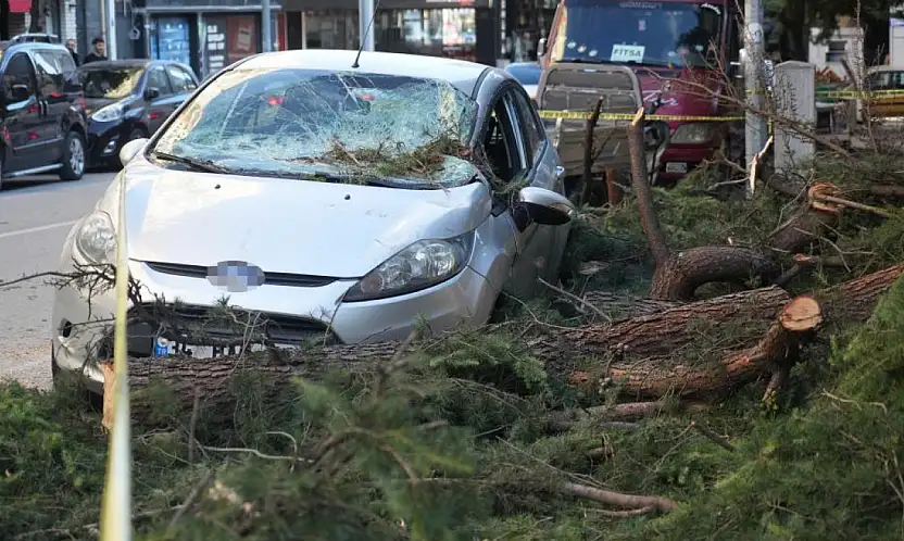 Samsun'u Fırtına Vurdu: Ağaçlar Devrildi, Araçlar Ezildi, Çatılar Havada Uçtu
