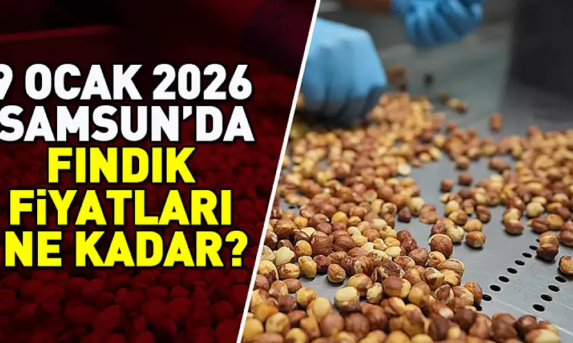 Samsun ve İlçelerinde Fındık Fiyatları Ne Kadar?