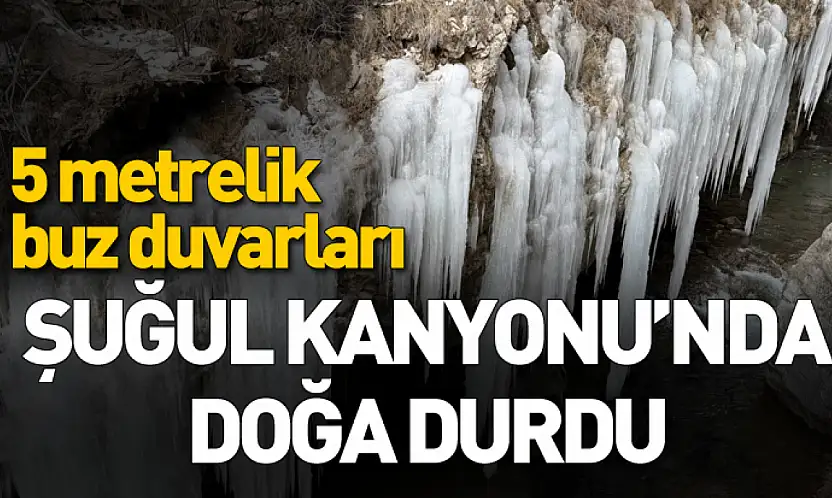 Şuğul Kanyonu'nda dev buz sarkıtları oluştu
