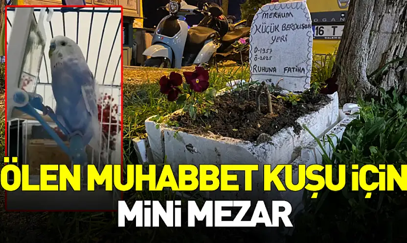Taksicilerden Vefa: Ölen Muhabbet Kuşu İçin Mini Mezar