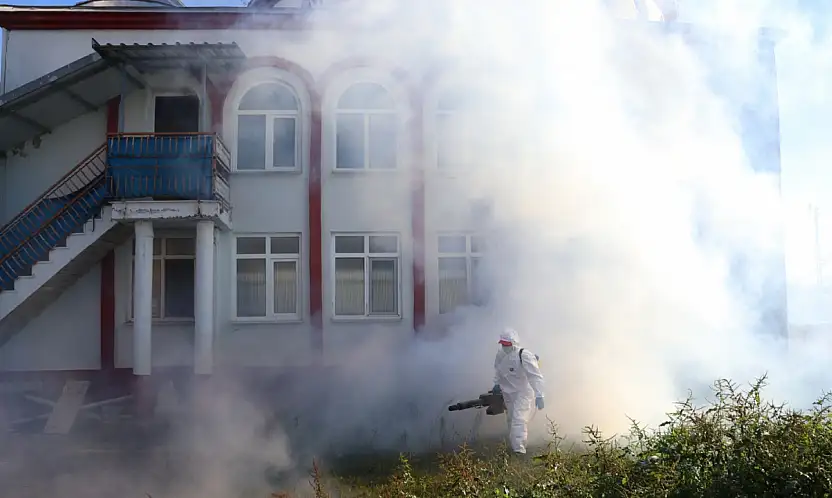 Tarım Zararlısına Karşı Çarşamba'da Mücadele Sürüyor